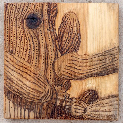 Pyrography, or "fire-writing,” is the controlled application of heat by a metal wire, a  process that mimics a pen & ink drawing.