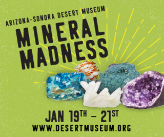 Mineral Madness Sale and Family Fun