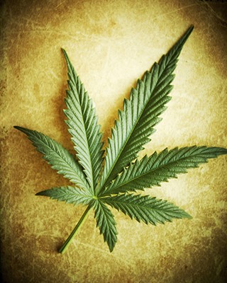Medical Marijuana: Crummy Case