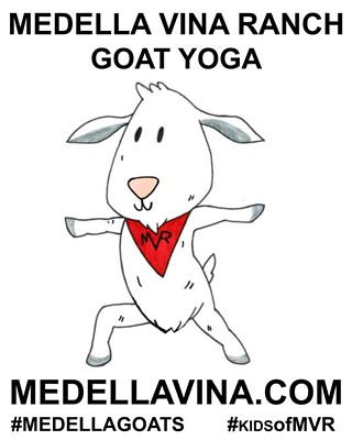 Goat Yoga at Medella Vina Ranch