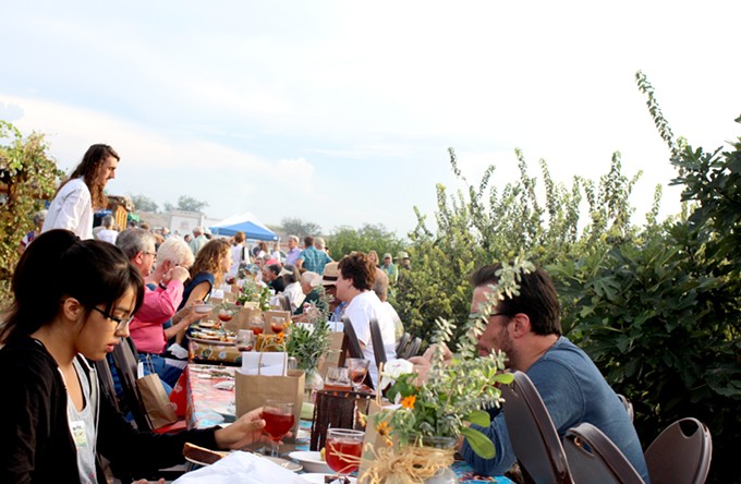 Farm-to-Table Gourmet Picnic at Mission Garden