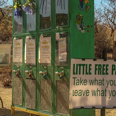 Arizona neighborhoods join Little Free Pantry movement to fight hunger