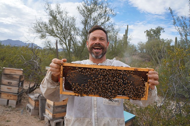 Noel Patterson got a beehive from a friend and “decided to take this weird gift to the next level.”
