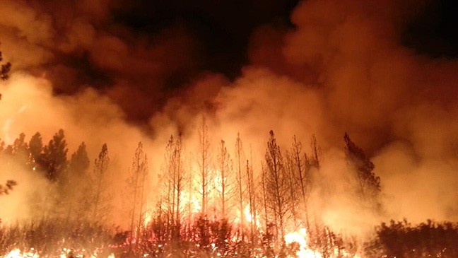 California’s Rim Fire started in August 2013 and burned roughly 400 square miles.