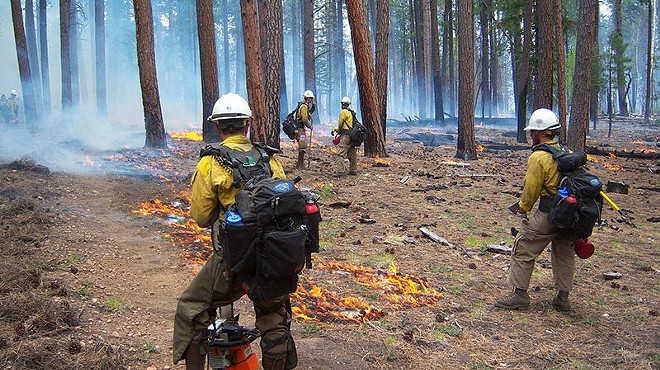 Burned acreage up sharply, as Arizona 2020 wildfire season winds down
