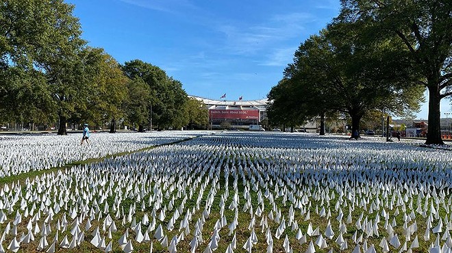 Field of flags tries to make sense of staggering COVID-19 death toll