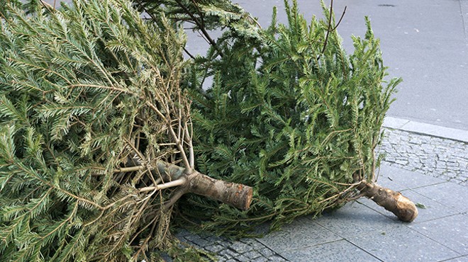 From Christmas Trees to Merry Mulch, Recycle Your Tree This Holiday