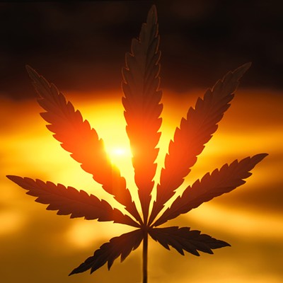 Legal Challenge Filed To Keep Recreational Marijuana off the November Ballot