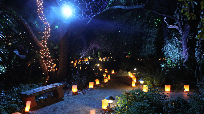 Botanical Gardens' Luminaria Nights becomes Winter 'Wanderland' (3)