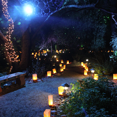 Botanical Gardens' Luminaria Nights becomes Winter 'Wanderland'