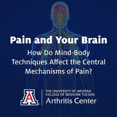 Pain and Your Brain: How Do Mind-Body Techniques Affect the Central Mechanisms of Pain?