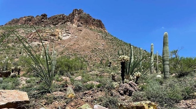 Pima County warns public to stay away from landslide area in Tucson Mountain Park