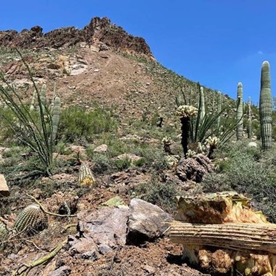Pima County warns public to stay away from landslide area in Tucson Mountain Park