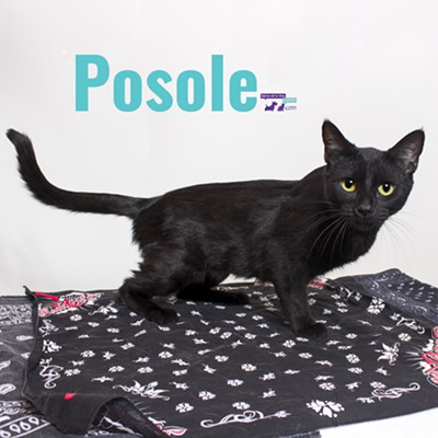 Posole Needs a Home