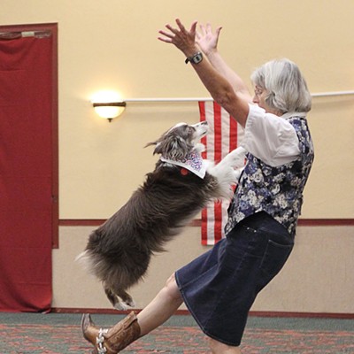 Practice Space Needed for Tucson Musical Canine Freestyle Club