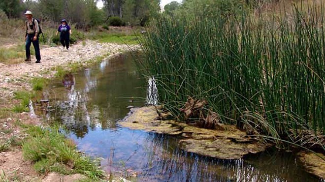 San Pedro River, squeezed by growing population, is subject of multiple lawsuits