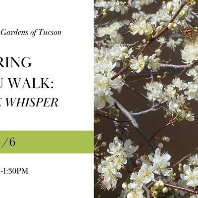 Spring Haiku Walk: Nature Whisper