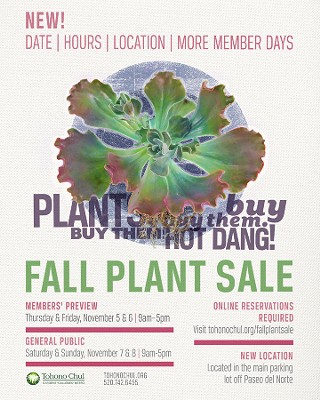 Tohono Chul's Fall Plant Sale