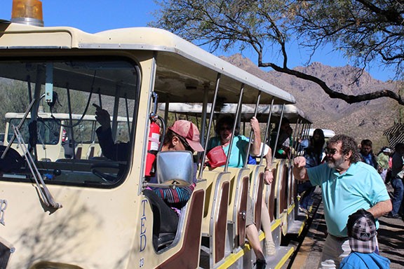 A new electric tram could be coming to Sabino Canyon