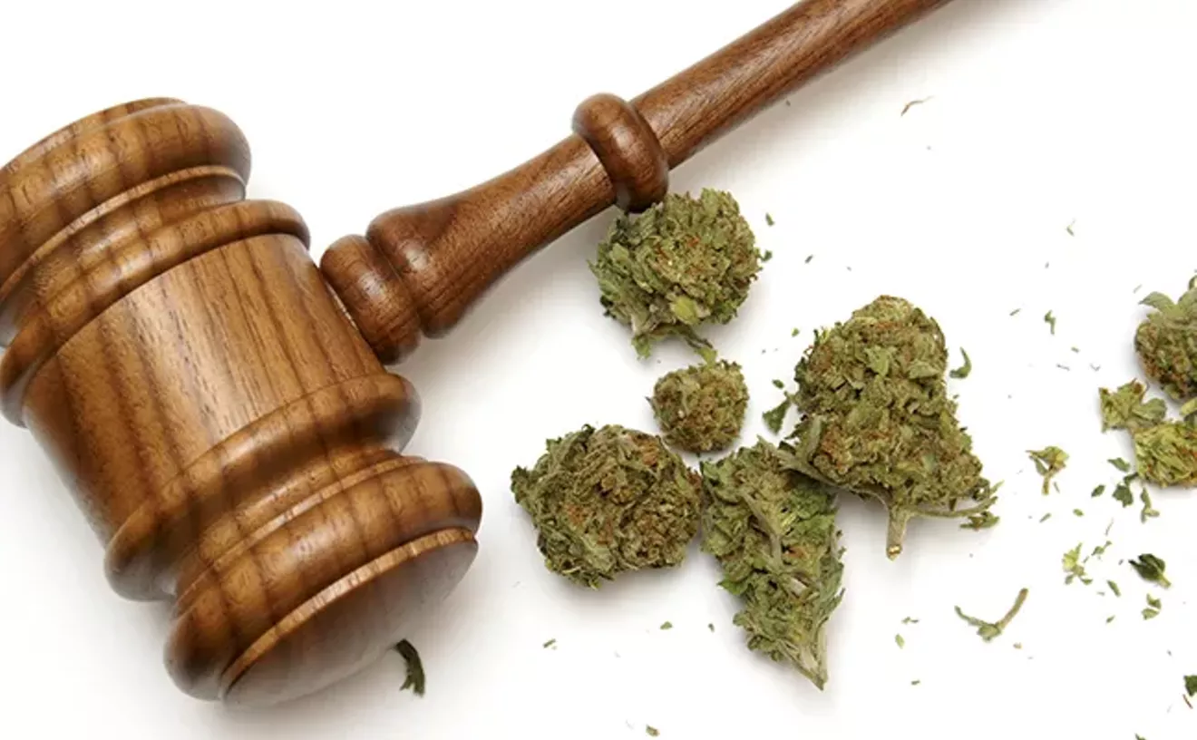 NORML gets down to brass tacks on the laws, penalties for cannabis