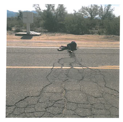 Hey! What Happened To the Arizona Monitor Website?