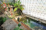 A pool inside Biosphere 2