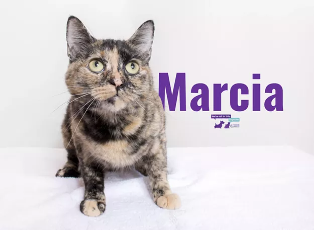 Marcia Needs a Home