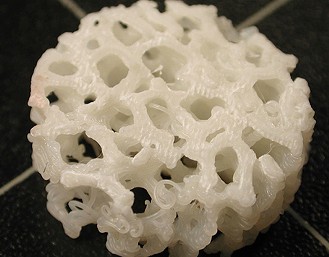 A three-dimensional printed bone scaffold, soon to be filled with calcium for living bones to grow on in the human body. - COURTESY PHOTO