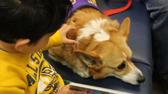 Read to a dog at your local public library