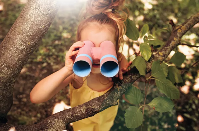 Girl Scouts of Southern Arizona announce virtual summer camp