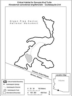The 12.3-acre critical habitat for the endangered Sonoyta mud turtle is in the turtle’s historic territory, but that land now butts up against the U.S.-Mexico border and a pond the turtles use is just 100 yards from where the wall will go up. (Map courtesy U.S. Fish and Wildlife Service)