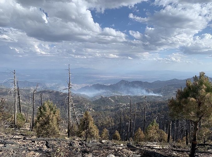 Bighorn Fire Nearly Extinguished