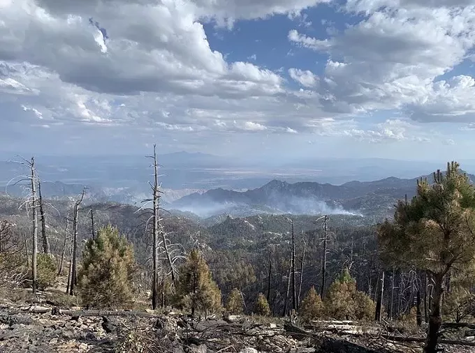 Bighorn Fire Nearly Extinguished