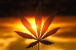 Legal Challenge Filed To Keep Recreational Marijuana off the November Ballot