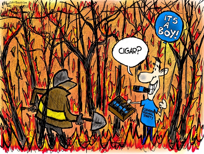 Claytoonz: Gender Wildfire Party