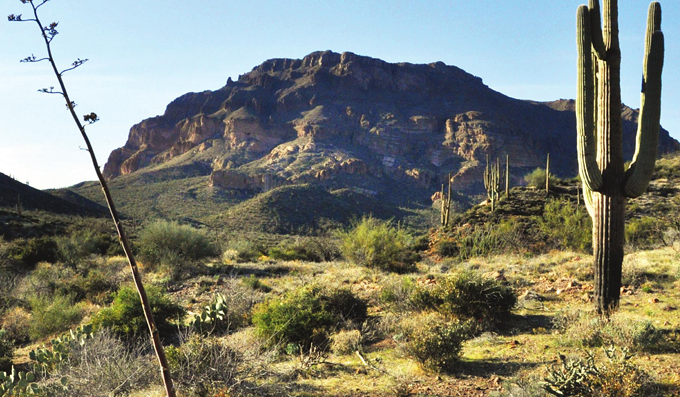 How Dry We Are: Monsoon 2020 Second Worst in the Record Books