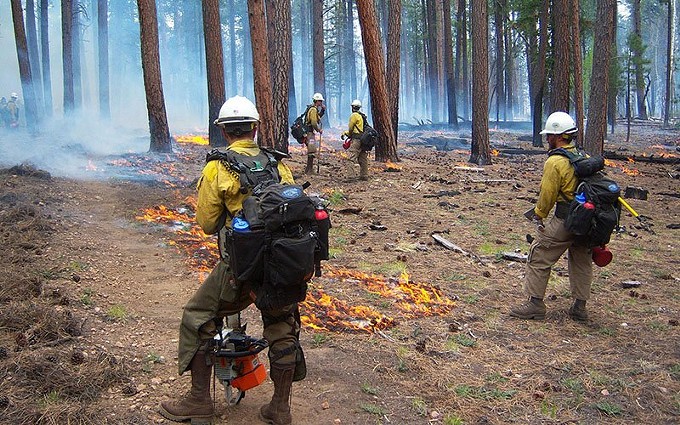 Burned acreage up sharply, as Arizona 2020 wildfire season winds down