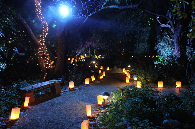 Botanical Gardens' Luminaria Nights becomes Winter 'Wanderland' (3)