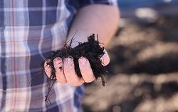 Grant Tims holds a handful of healthy soil taken from the project’s small production area. - PHOTO BY | BROCK BLASDELL/CRONKITE NEWS