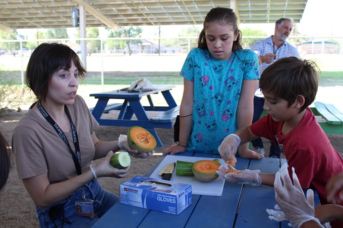 Making Science More Accessible: UA community and school garden program uses plant science to empower students