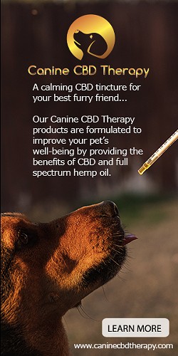 Looking for a way to help calm your hyperactive dog? Your pets are our passion.