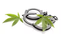 MMJ: Criminal Conduct