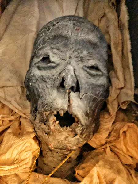 Mummy face. - BRIAN SMITH