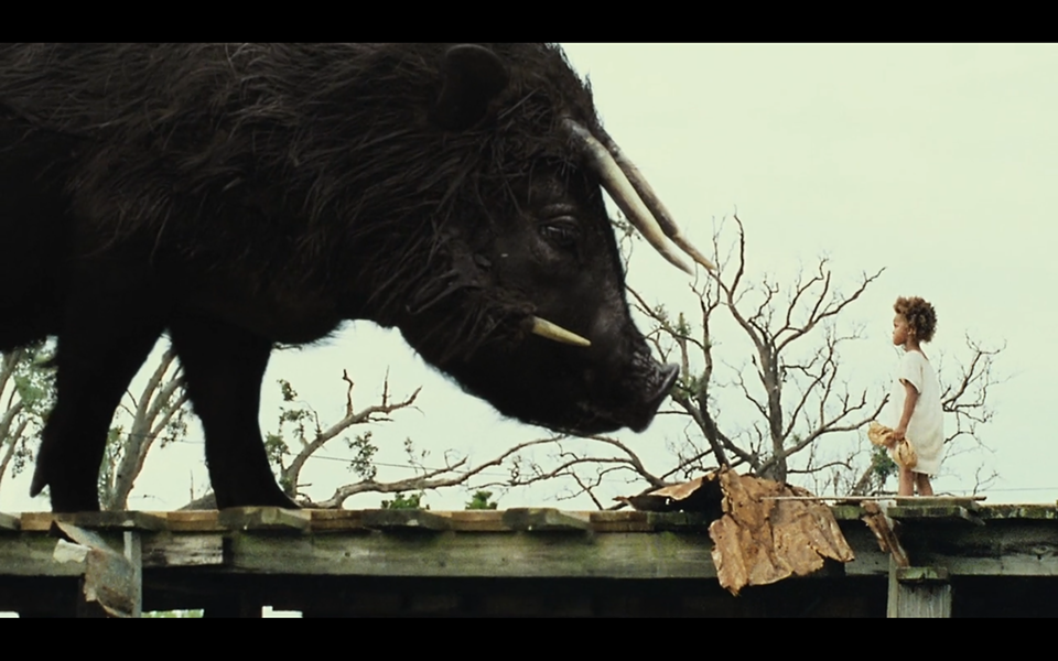 Beasts of the Southern Wild