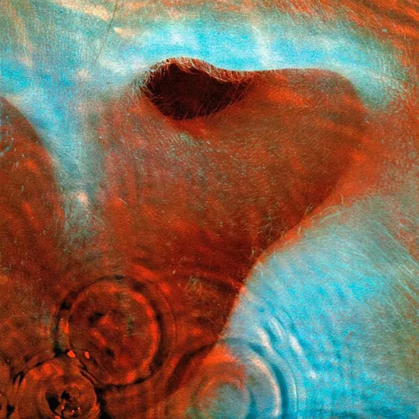 pink_floyd_.jpg