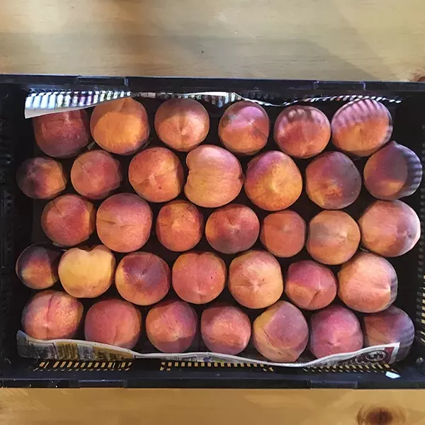 Cochise County peaches. - PIVOT PRODUCE
