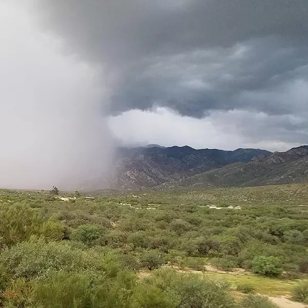 monsoon_gardening_workshop.jpg