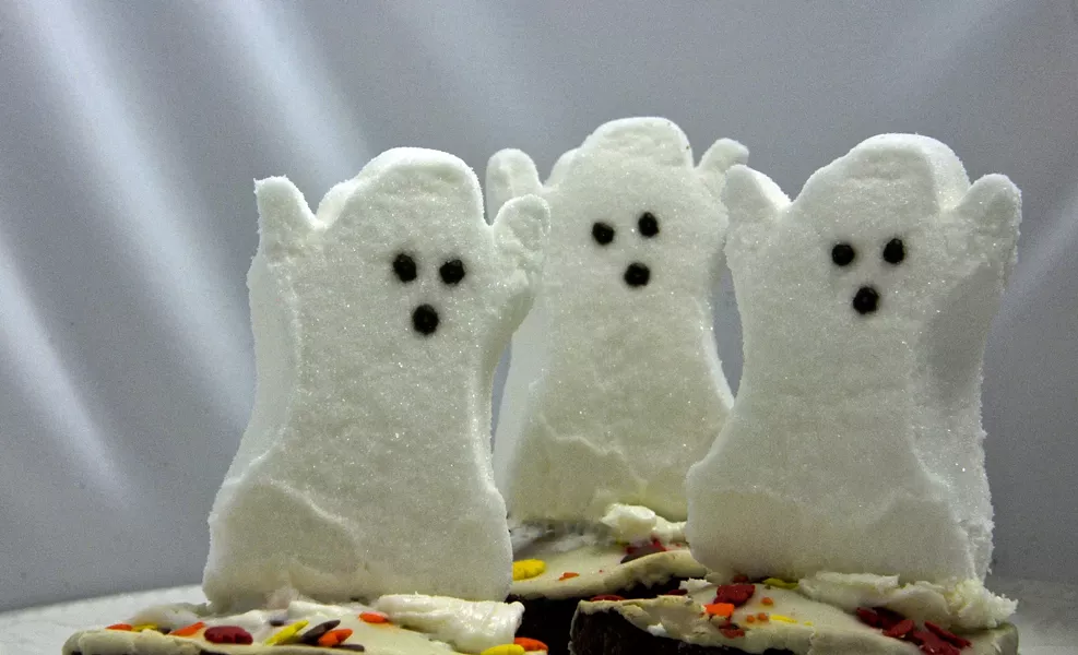 halloween_boo_bash.jpg