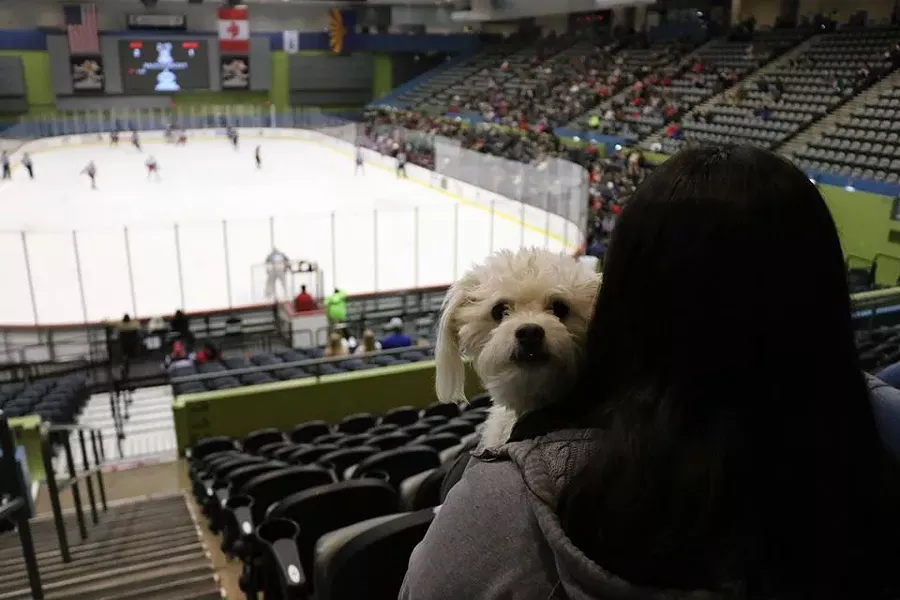 pucks_for_paws.jpg