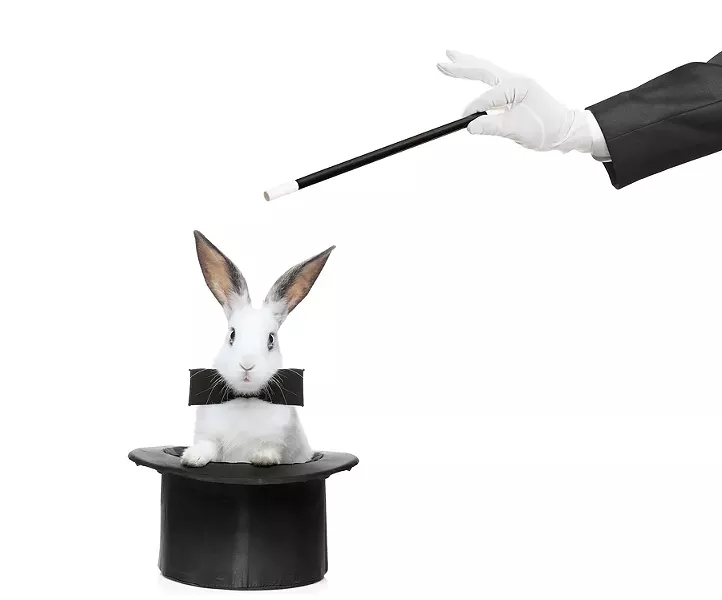 bigstock-a-rabbit-in-a-hat-and-hand-hol-8264189.jpg